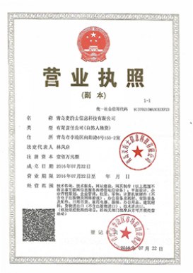 01. 青岛麦的士公司营业执照副本_扫描盖章件 Registrierung.png